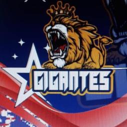 GIGANTES DE EL TIGRE